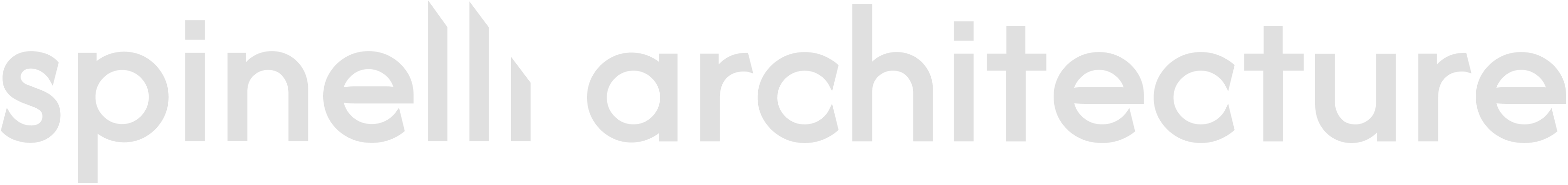 logo_spinelliarchitecture_txt_gray_longx4